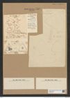 Triceratium arcticum Brightw. (de-Toni-Nr.: Genus 140, Species 3719) Zeichnungen Sammlung Grunow Nr. 7210 (NHMW-BOT-W0376199)